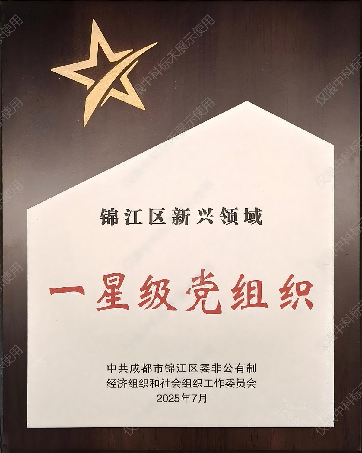 锦江区新兴领域一星级党组织