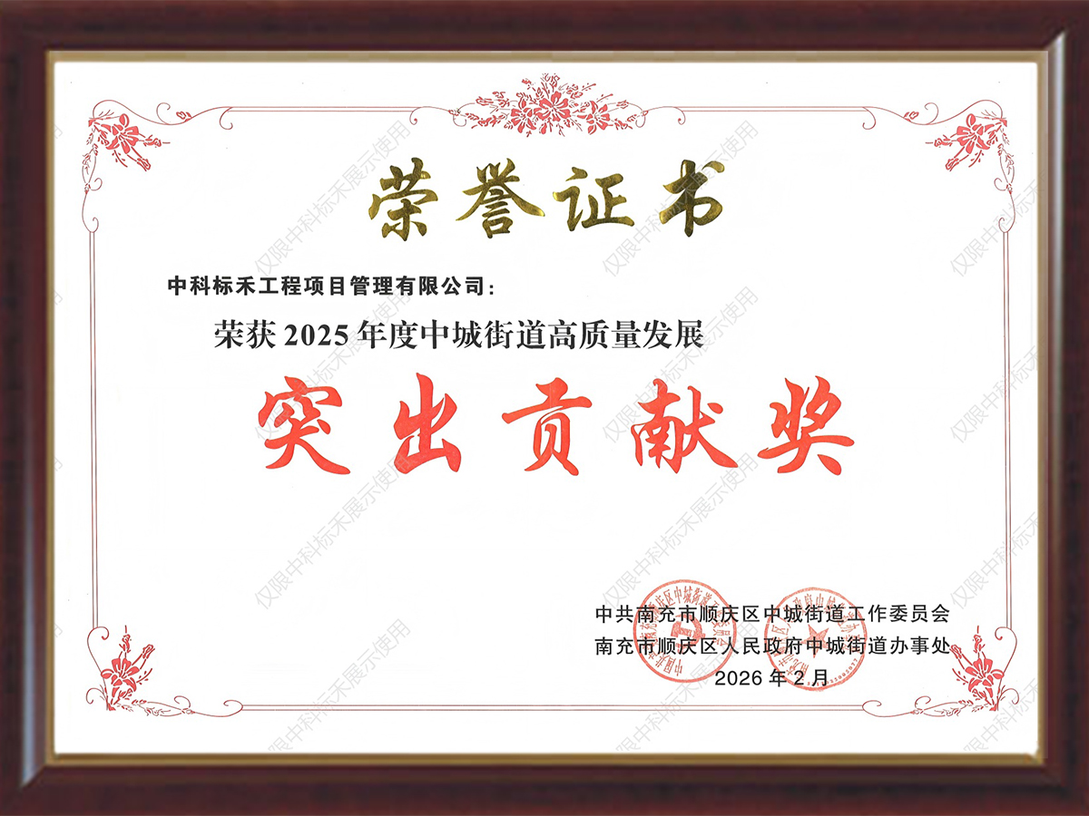 突出贡献奖-2025年度中城街道高质量发展